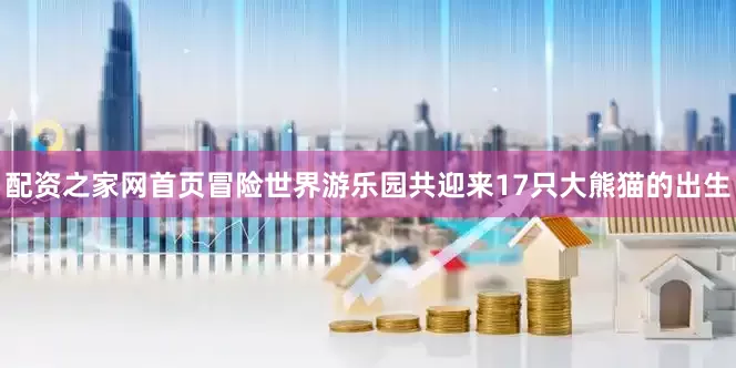 配资之家网首页冒险世界游乐园共迎来17只大熊猫的出生