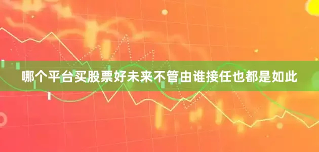 哪个平台买股票好未来不管由谁接任也都是如此
