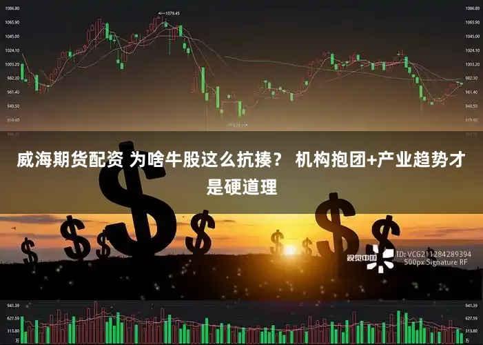 威海期货配资 为啥牛股这么抗揍？ 机构抱团+产业趋势才是硬道理