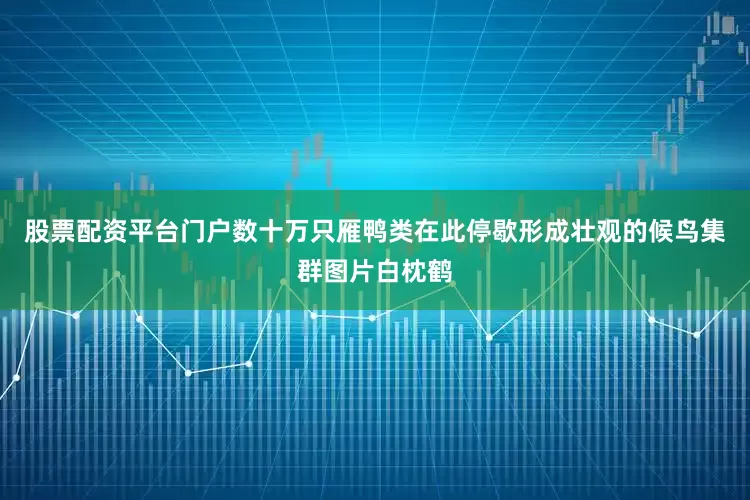 股票配资平台门户数十万只雁鸭类在此停歇形成壮观的候鸟集群图片白枕鹤